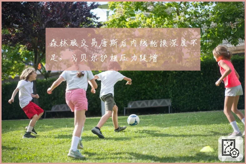 森林狼交易唐斯后内线轮换深度不足,戈贝尔护框压力陡增