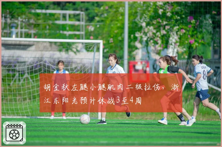 胡金秋左腿小腿肌肉二级拉伤，浙江东阳光预计休战3至4周
